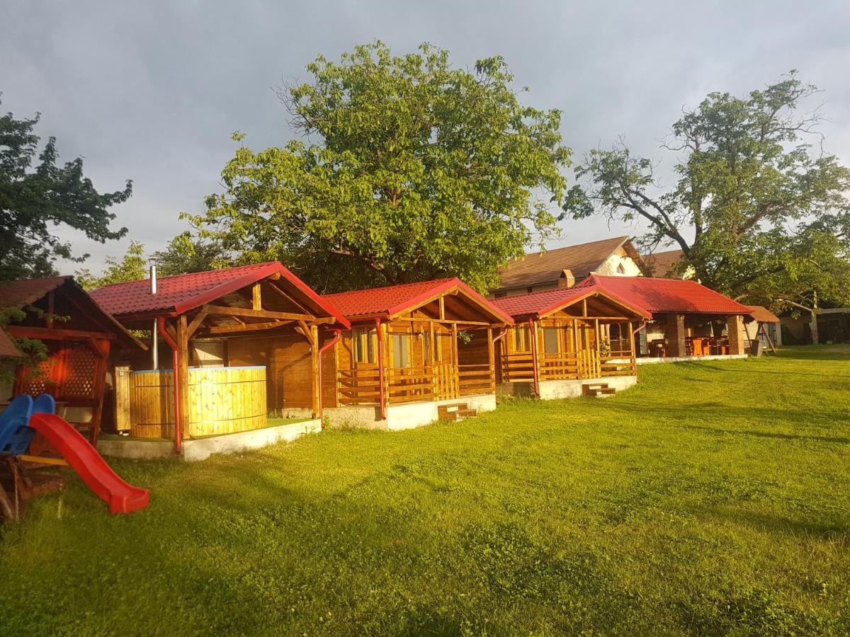 Pensiunea Anisoara Chiscau Exterior photo